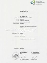 Studium-Zeugnis-Klein-455x600
